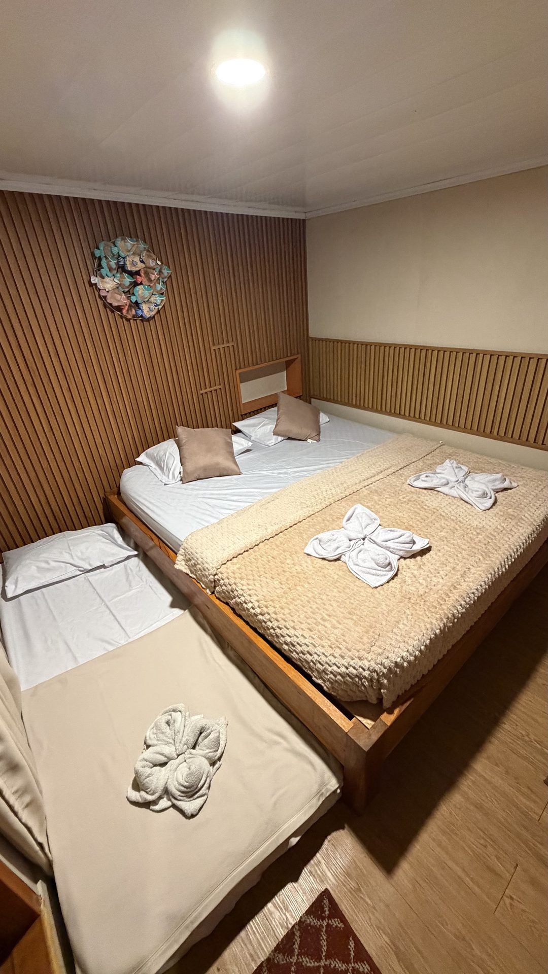 豪华海景阳台房加床